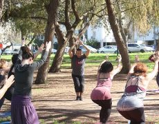 Eddy Toyonaga leading a yoga class in the park for the Acro yoga community