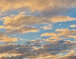 The law of abundance - Eddy Toyonaga yoga