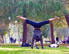 Yoga in Hayarkon Park Tel Aviv